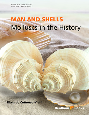 Shell Currency Was Part Of An Ancient Economy In The Channel